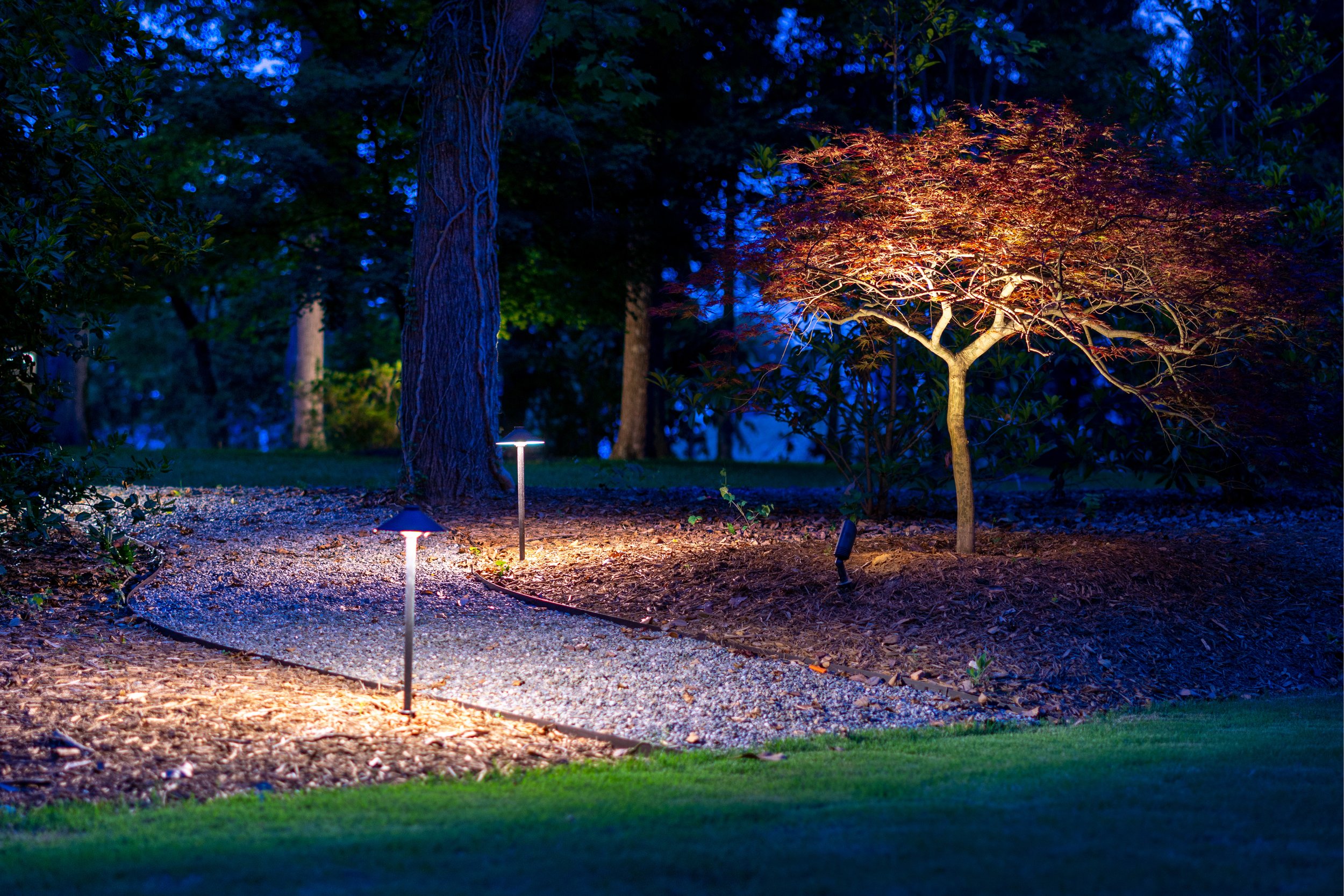 White rock path meanders through a red mulch bed is illuminated with two path lights. A nearby Japanese maple tree is lit with a landscape accent light.