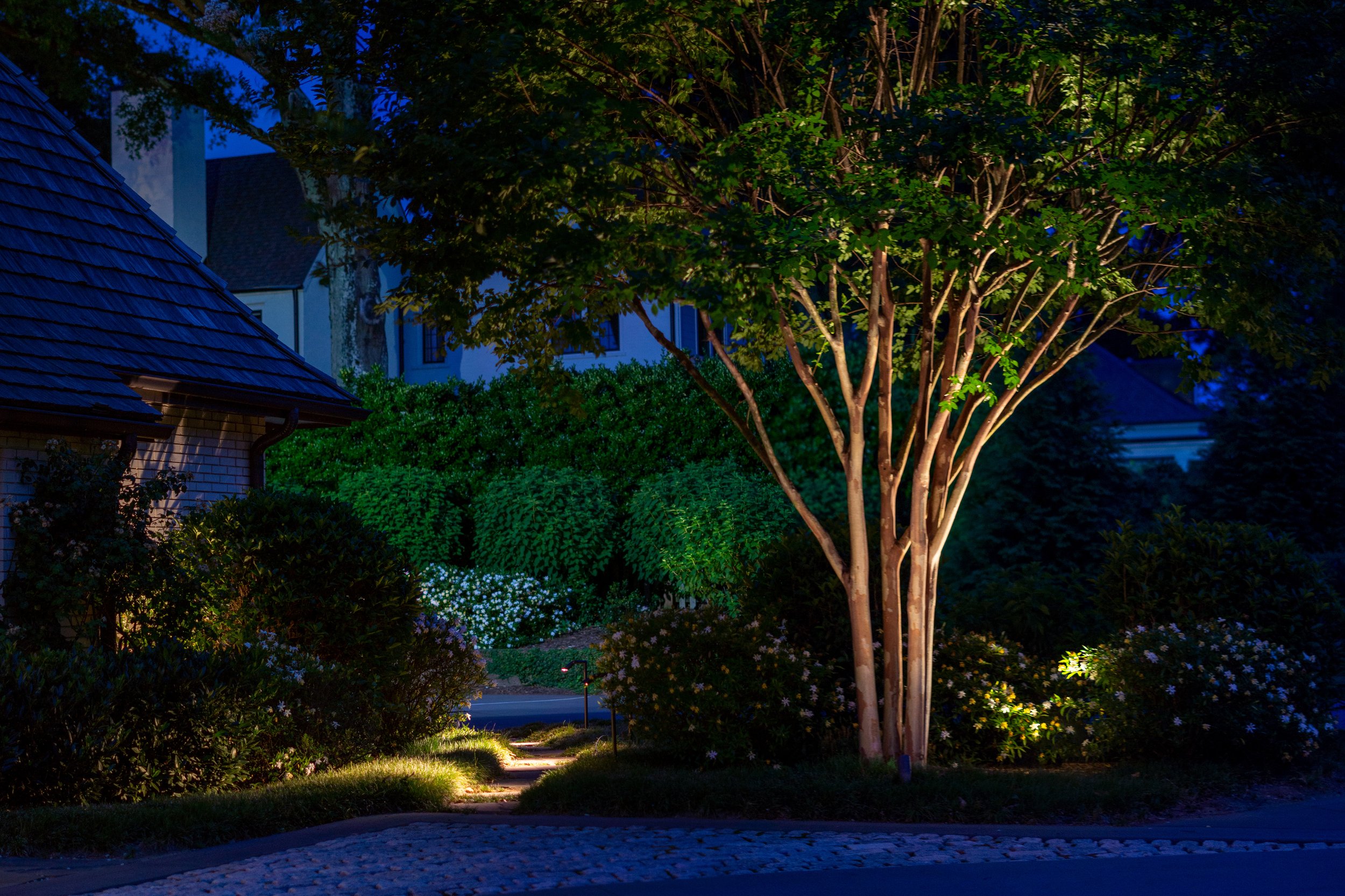 To the left is a small path leading through a grassy area creating a bridge between two driveways. Path is illuminated with three modern path lights. To the right is a mature crepe myrtle illuminated with two outdoor accent lights.